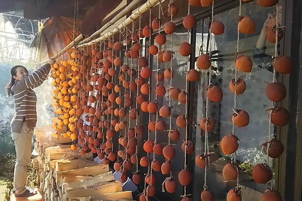 Lady hanging some fruits