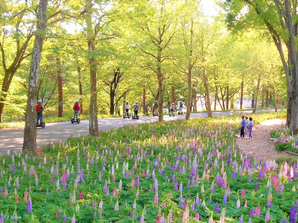 45288 国営武蔵丘陵森林公園