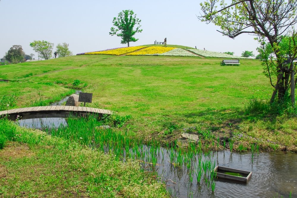 羽生水郷公園