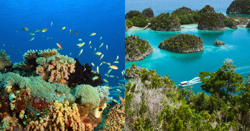 raja ampat