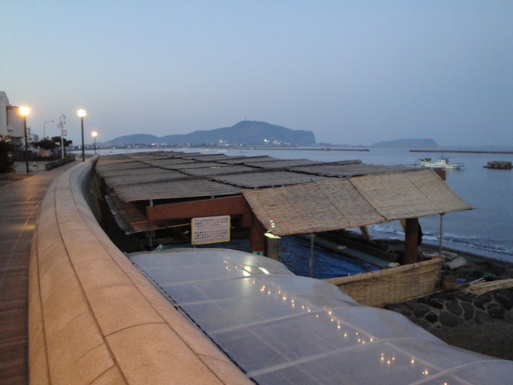 鹿兒島景點指宿砂浴