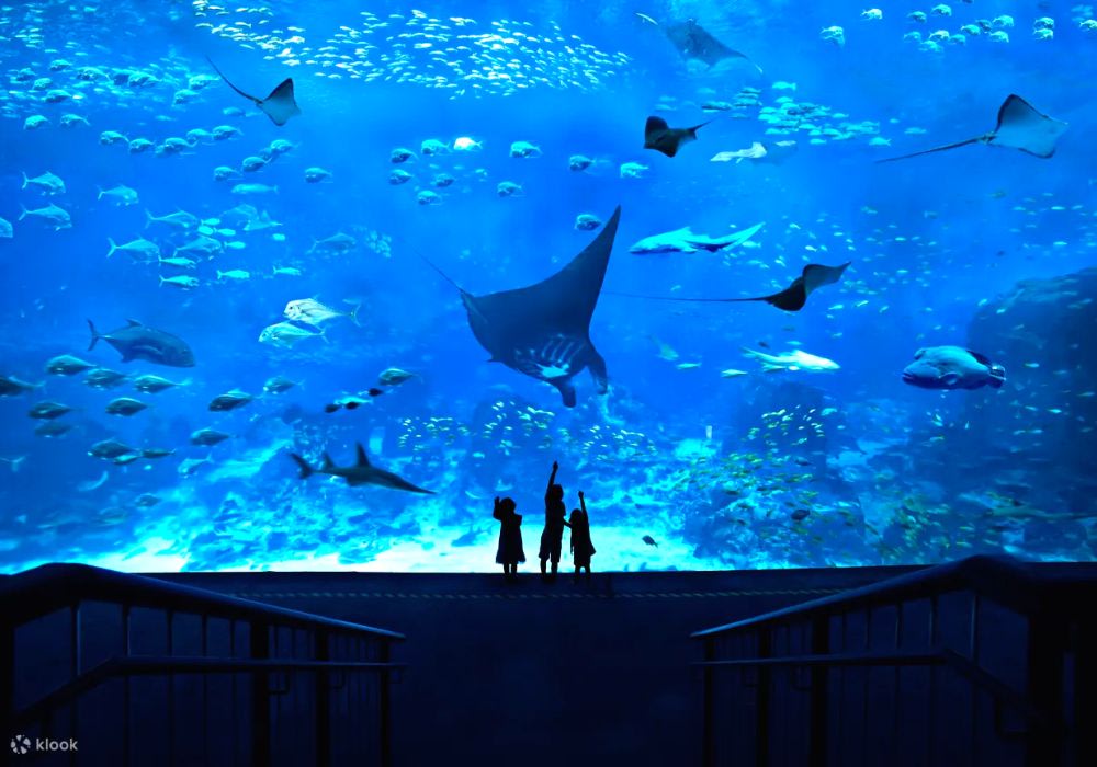 review-du-lich-singapore-malaysia-indonesia