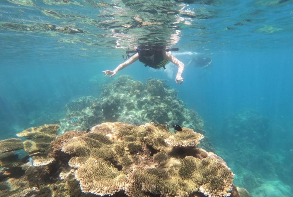蘇美島跳島旅遊帕岸島一日遊
