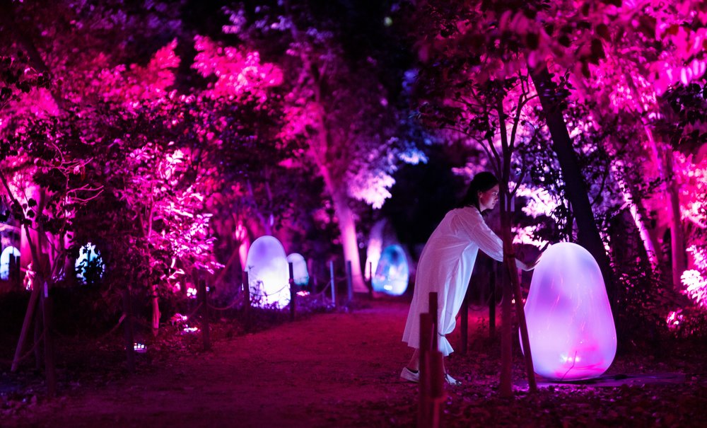woman touching garden lights