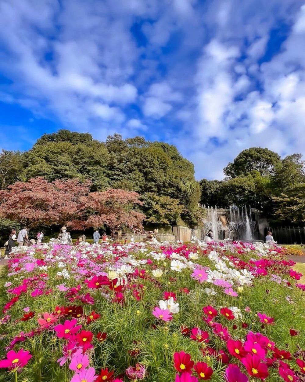 川口市立グリーンセンター 