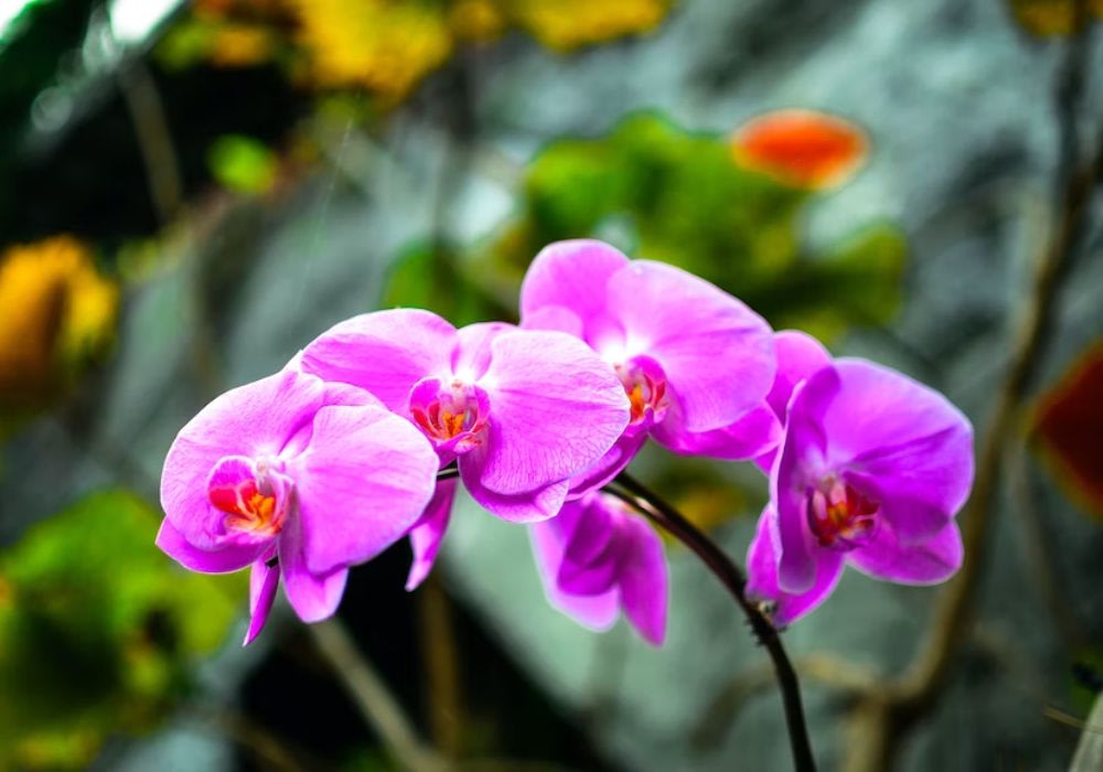 du-lich-singapore-5-ngay-4-dem