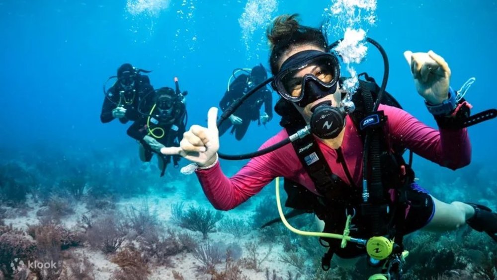 SDI Open Water Diving Course in Tioman or Tenggol from Singapore