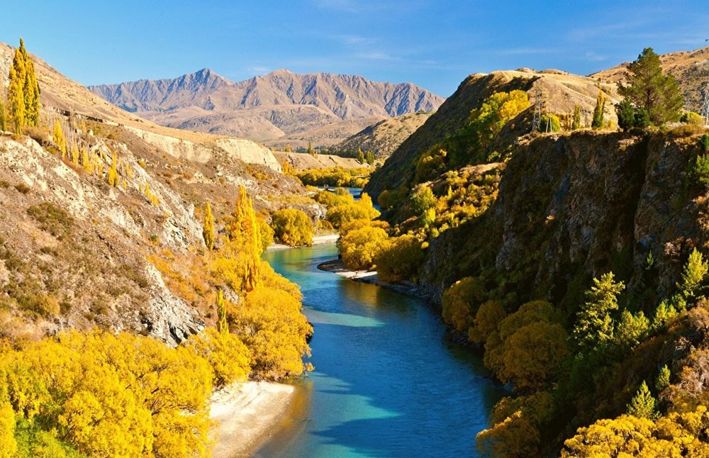 ขอบคุณภาพจาก; mushroomtravel.com/