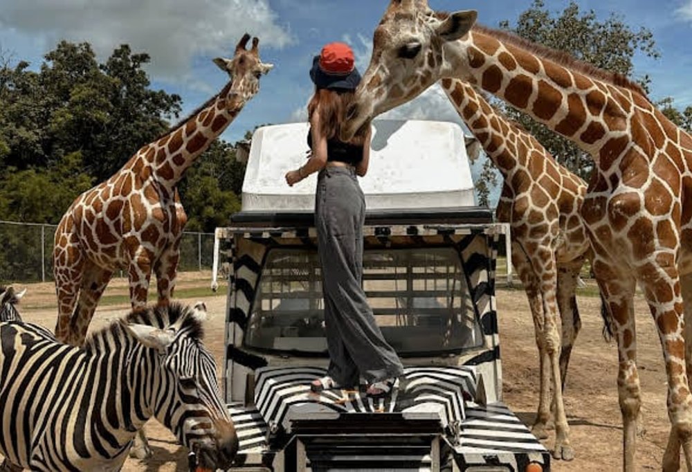 ขอบคุณภาพจาก: google.com.sa