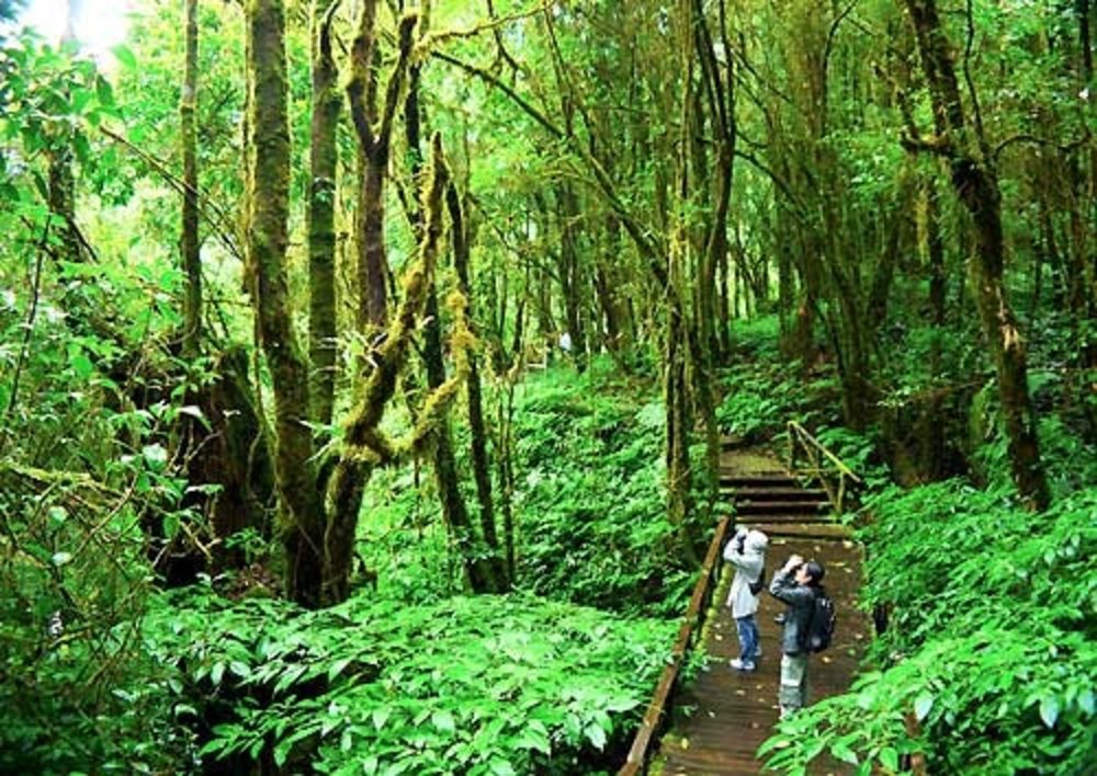 ดอยอินทนนท์