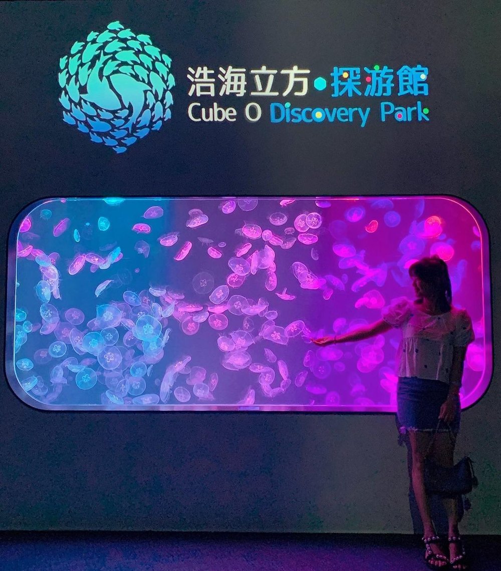 荃灣水母館, 情侶好去處, 情人節好去處, 拍拖好去處