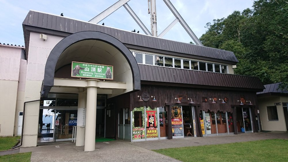 のぼりべつクマ牧場 クマ山カフェ