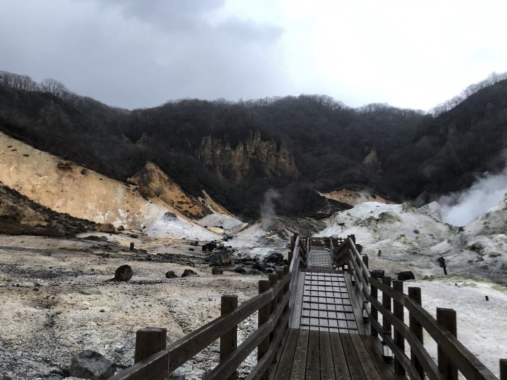 のぼりべつクマ牧場 登別温泉