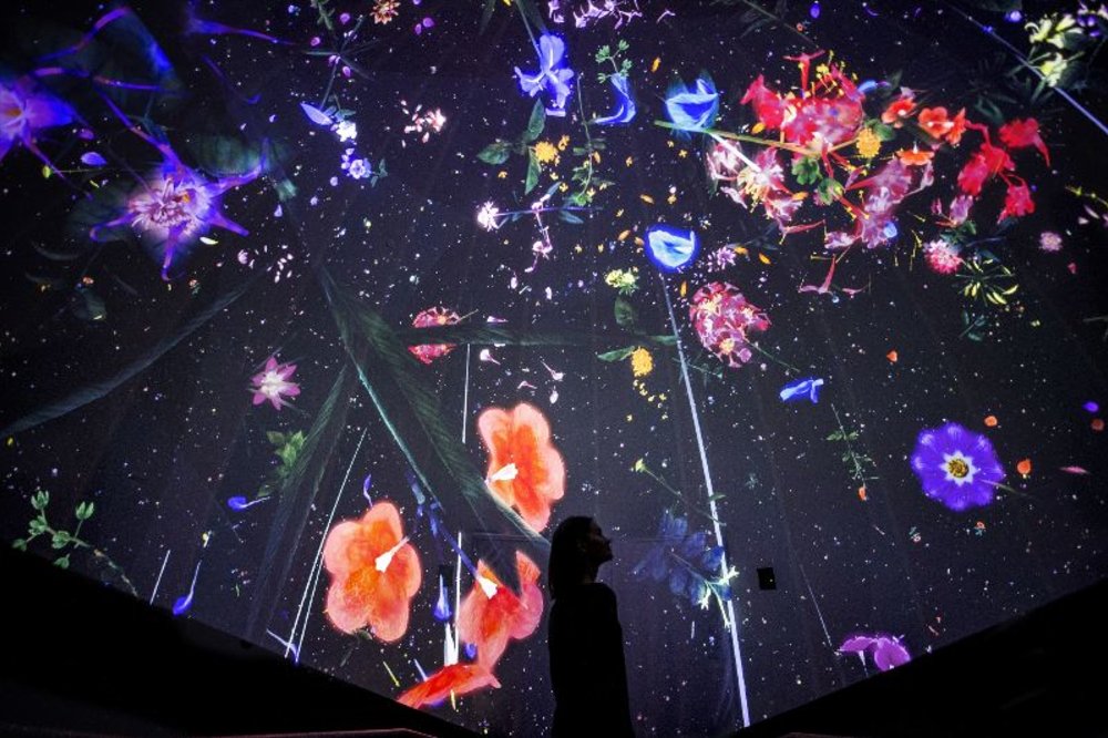 Story of the Forest โดย teamLab