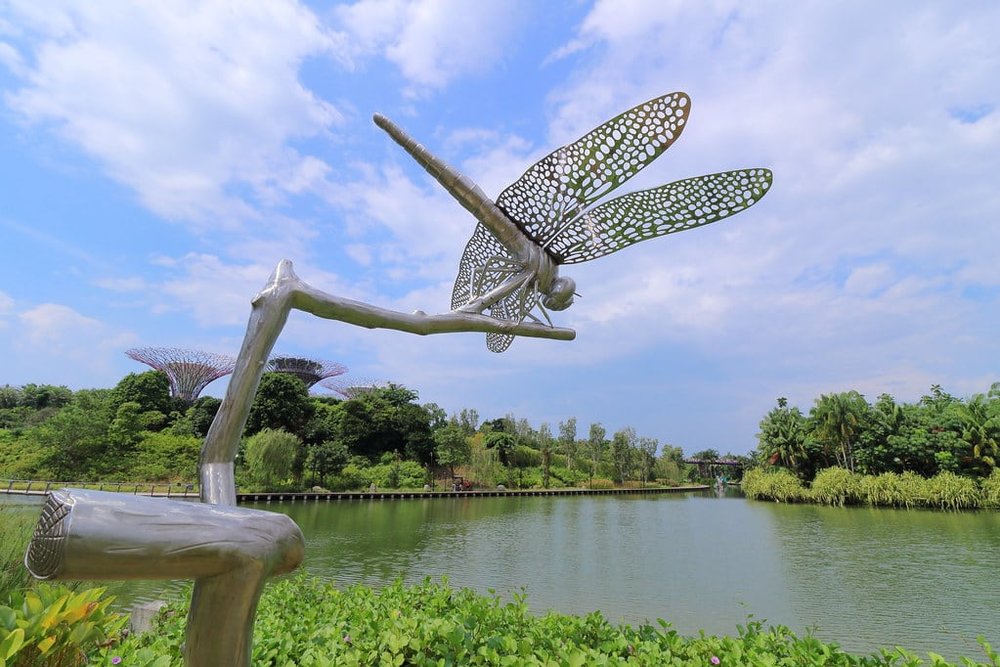 ขอบคุณภาพจาก: Flickr