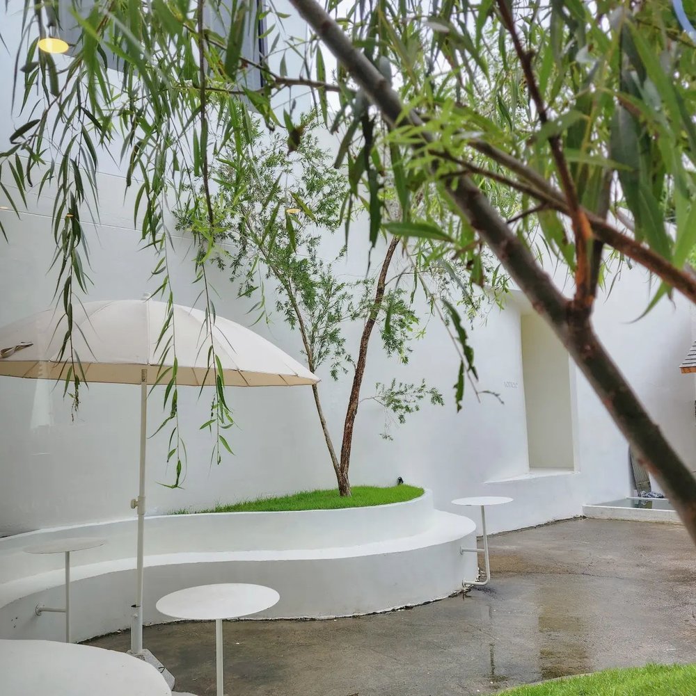 Tomato.cafe.cnx คาเฟ่เชียงใหม่ร้านดัง ย่านอำเภอเมืองเชียงใหม่ | รูปภาพจาก facebook TOMATO.cafe.cnx