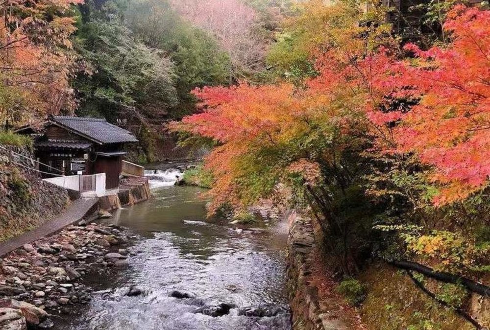 熊本景點黑川溫泉