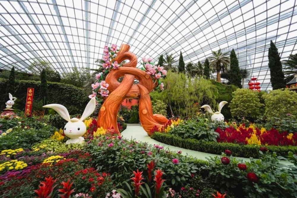 เข้าชมการ์เด้นส์ บาย เดอะ เบย์ (Gardens by the Bay) ที่สิงคโปร์