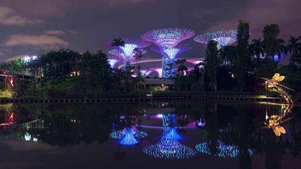 จุดถ่ายรูป Dragonfly & Kingfisher Lake