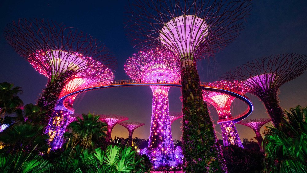 ขอบคุณรูปภาพจาก www.gardensbythebay.com.sg