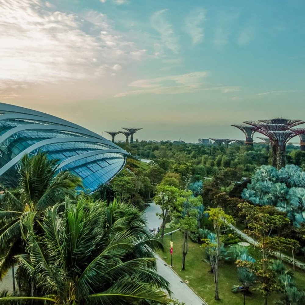 ขอบคุณรูปภาพจาก www.gardensbythebay.com.sg