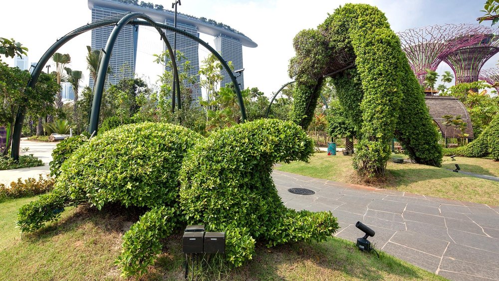 World of Plants, ขอบคุณรูปภาพจาก www.gardensbythebay.com.sg