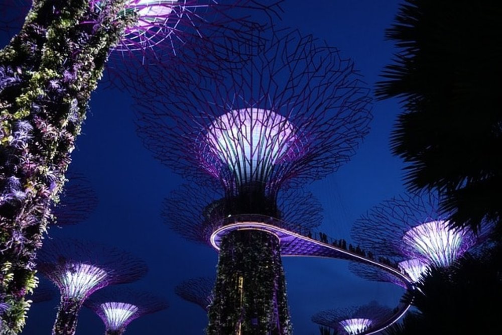 การแสดงแสงสี Supertree Grove ขอบคุณรูปภาพจาก www.gardensbythebay.com.sg