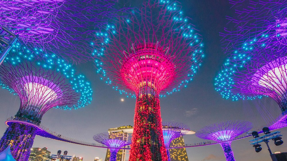Garden Rhapsoการแสดงแสงสี Supertree Grove ขอบคุณรูปภาพจาก www.gardensbythebay.com.sgdy - Gardens by the Bay