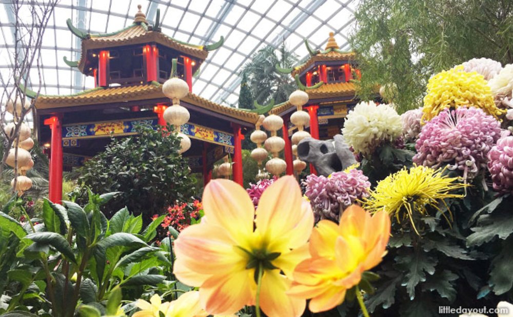 Dahlia Dreams at Gardens by the Bay 2019: A Chinese Garden - Little Day Out
