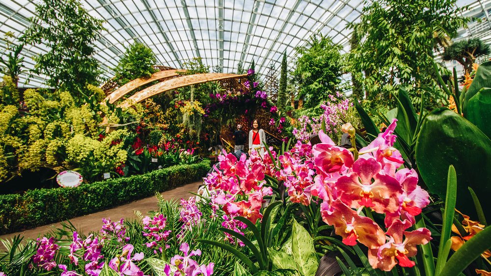 Flower Dome, ขอบคุณรูปภาพจาก www.gardensbythebay.com.sg