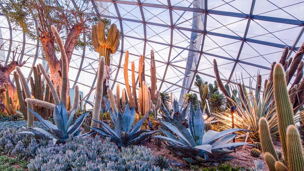 Flower Dome, ขอบคุณรูปภาพจาก www.gardensbythebay.com.sg