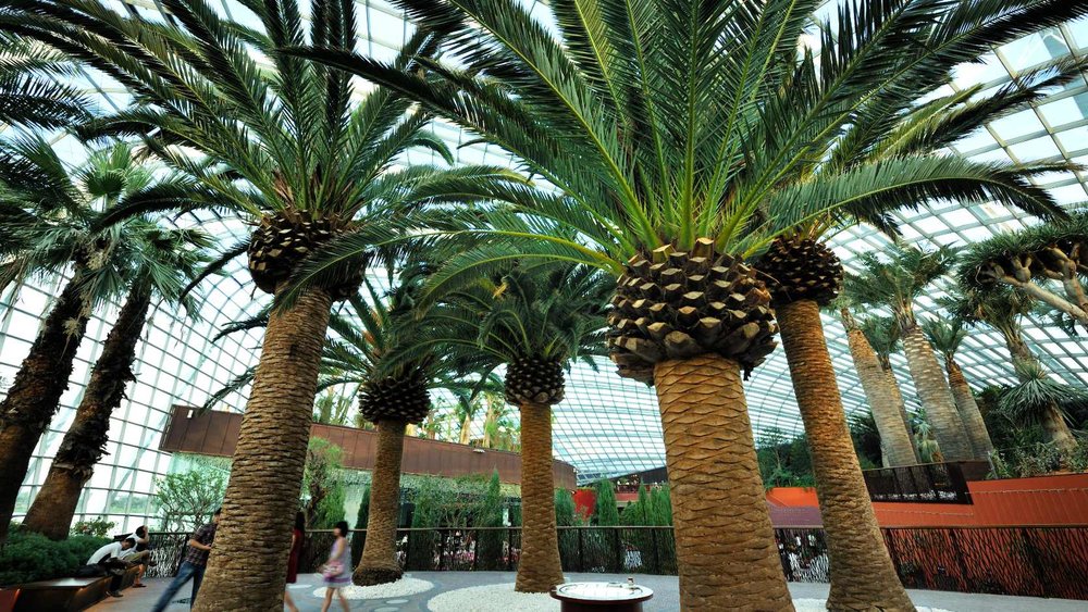Flower Dome, ขอบคุณรูปภาพจาก www.gardensbythebay.com.sg