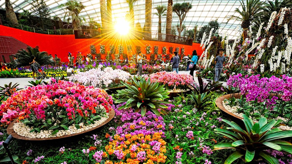 Flower Dome, ขอบคุณรูปภาพจาก www.gardensbythebay.com.sg