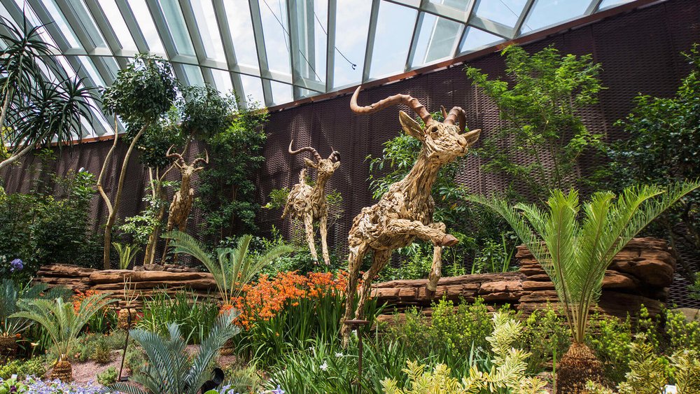 Flower Dome, ขอบคุณรูปภาพจาก www.gardensbythebay.com.sg