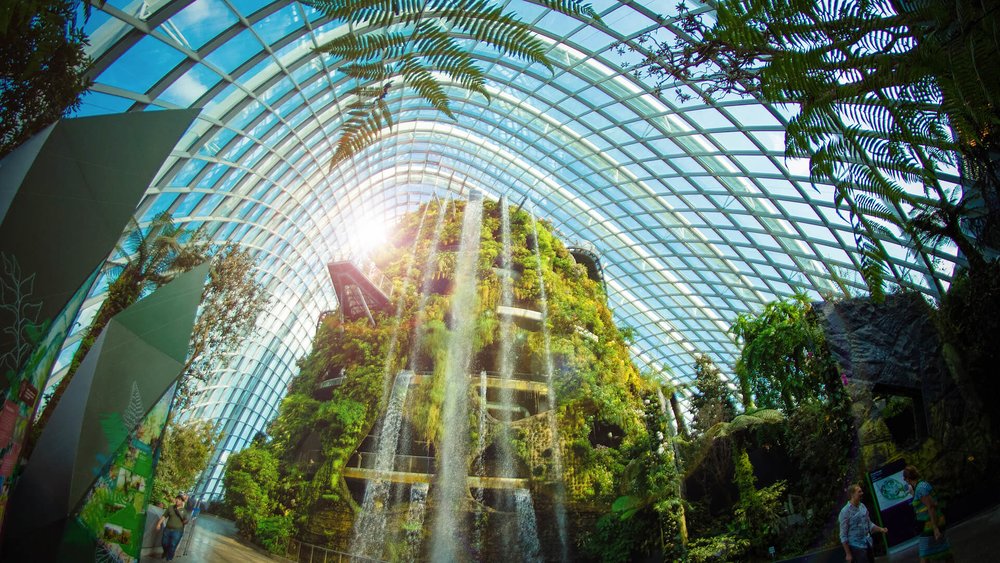 cloud forest gardens by the bay