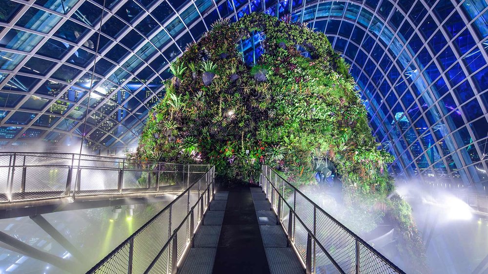 Cloud Forest, ขอบคุณรูปภาพจาก www.gardensbythebay.com.sg
