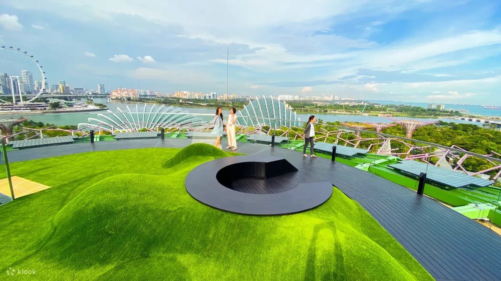 จุดชมวิว Supertree Grove ในสิงคโปร์
