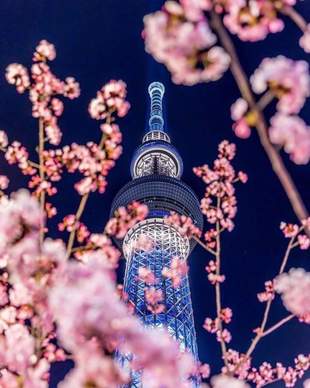 ภาพจาก Instagram: notch.x