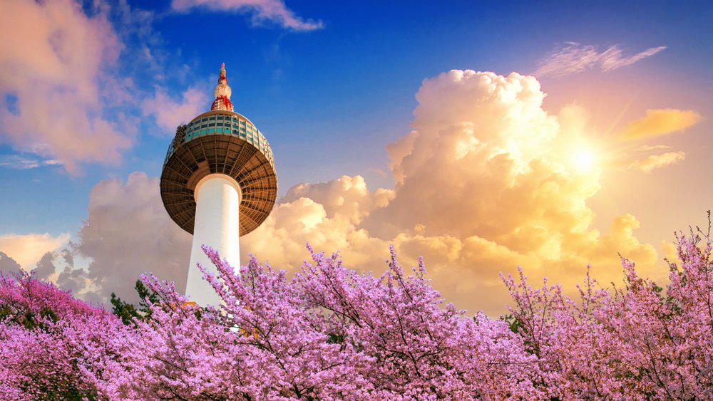 ภาพจาก: Koreattrack.com