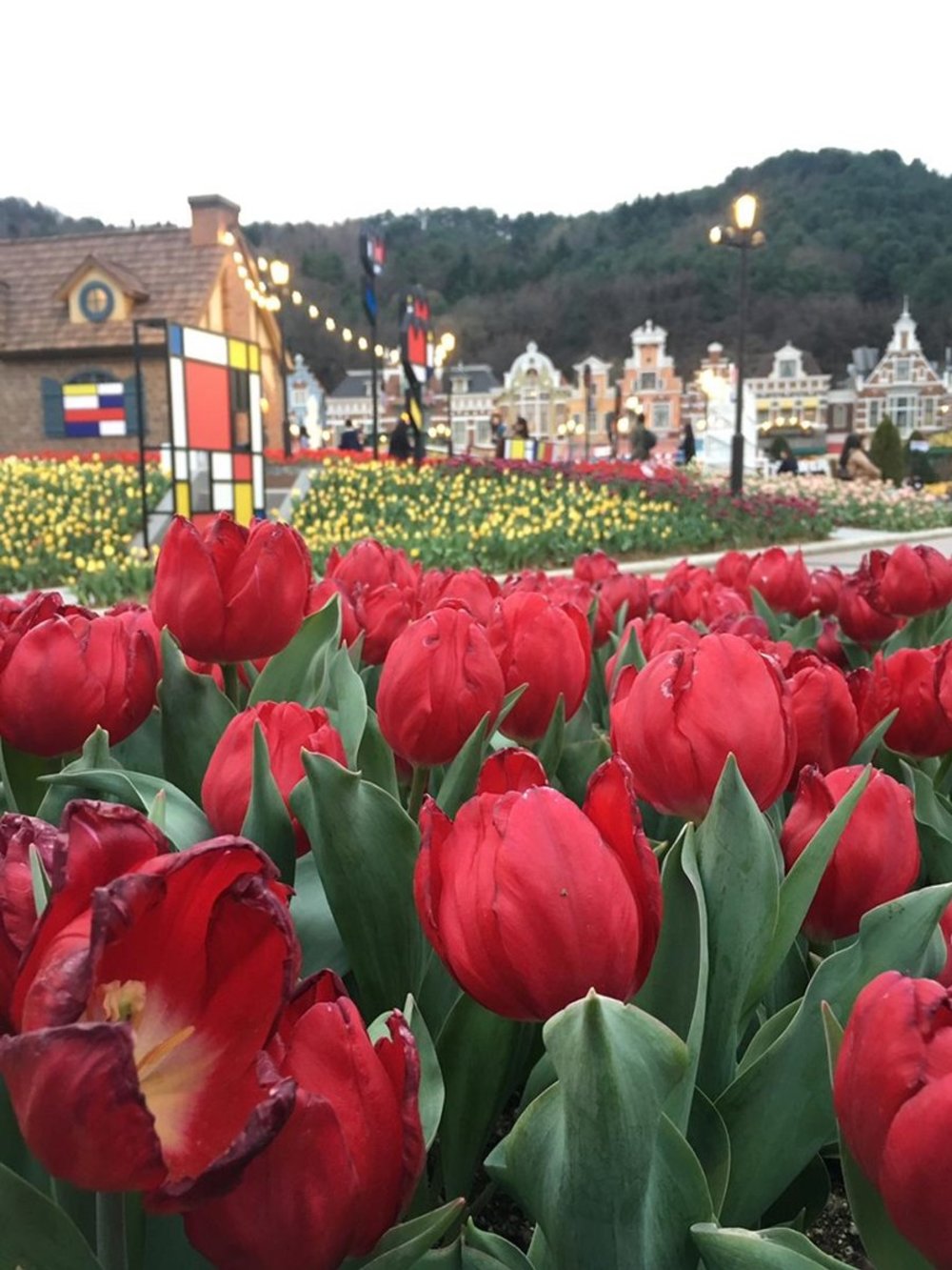 エバーランド グローバルフェアのチューリップガーデン
