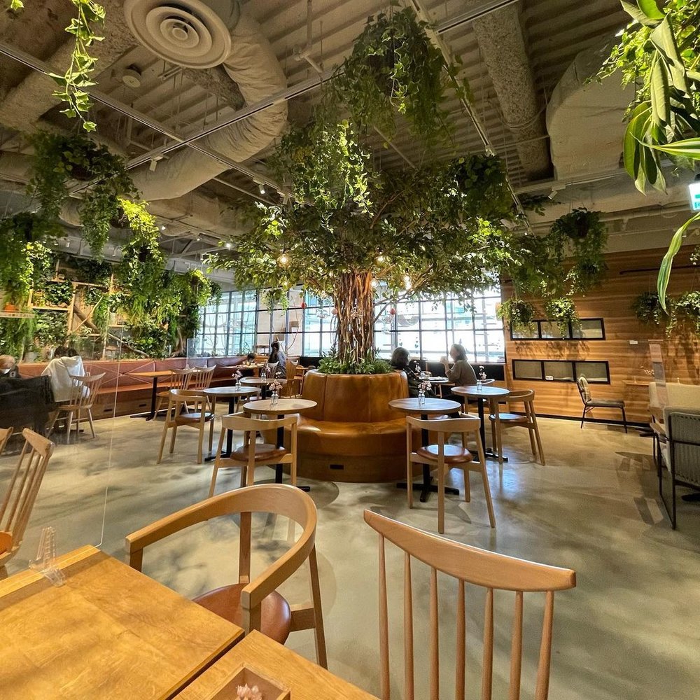 川崎水族館 こもれびカフェ