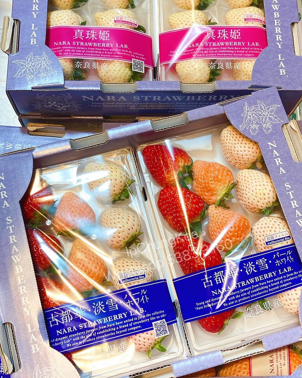 奈良縣三色士多啤梨