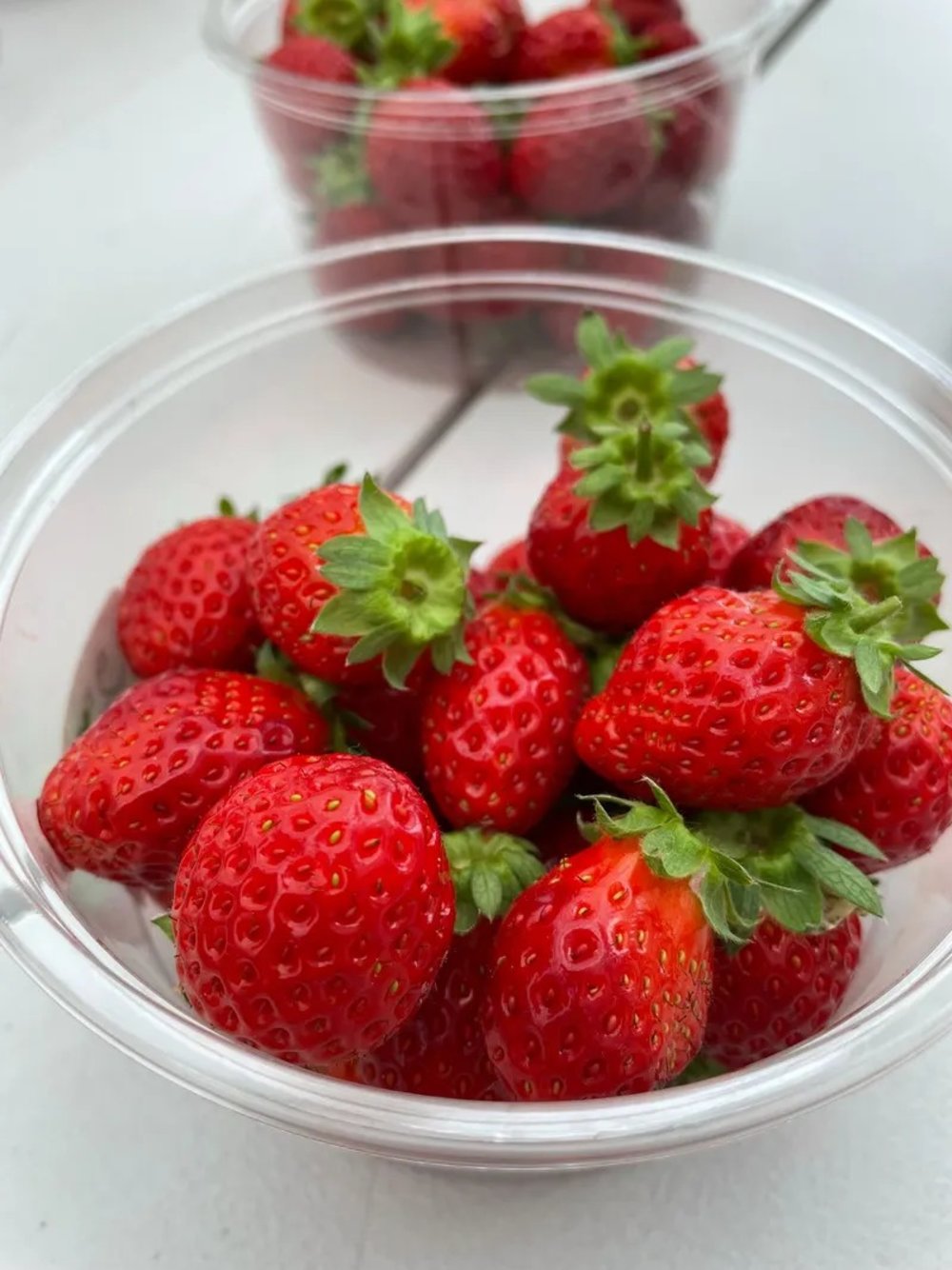 北海道冰釣及果園一日遊