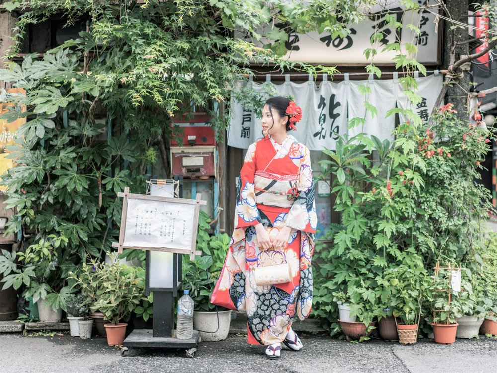 lady wearing a kimono