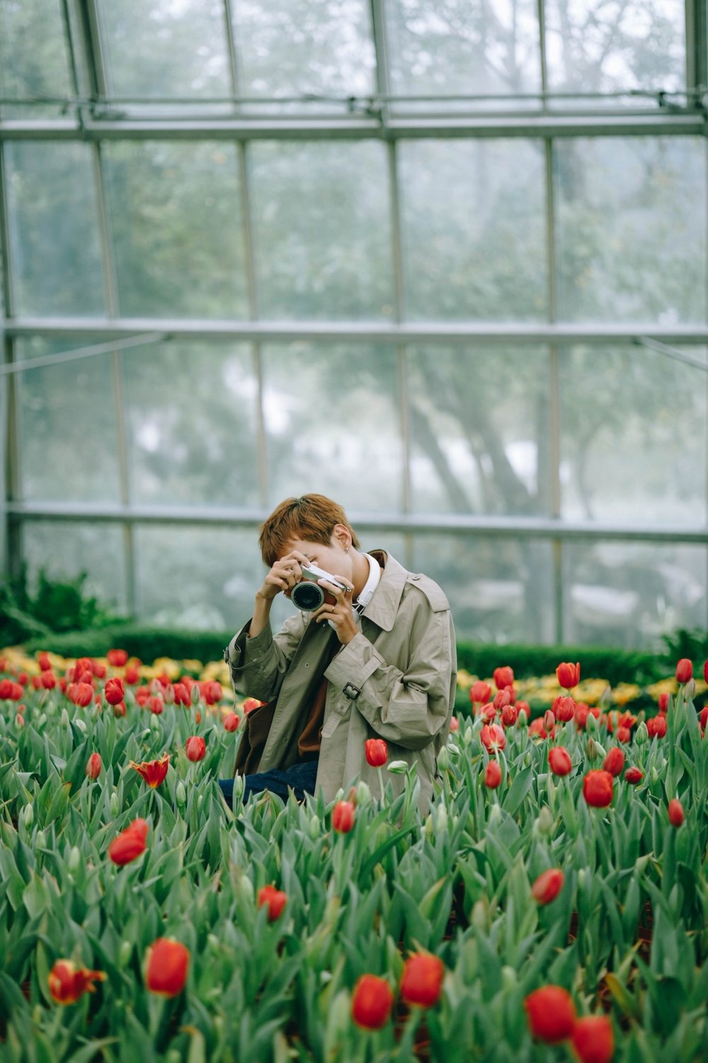 su-kien-tet-vinwonders