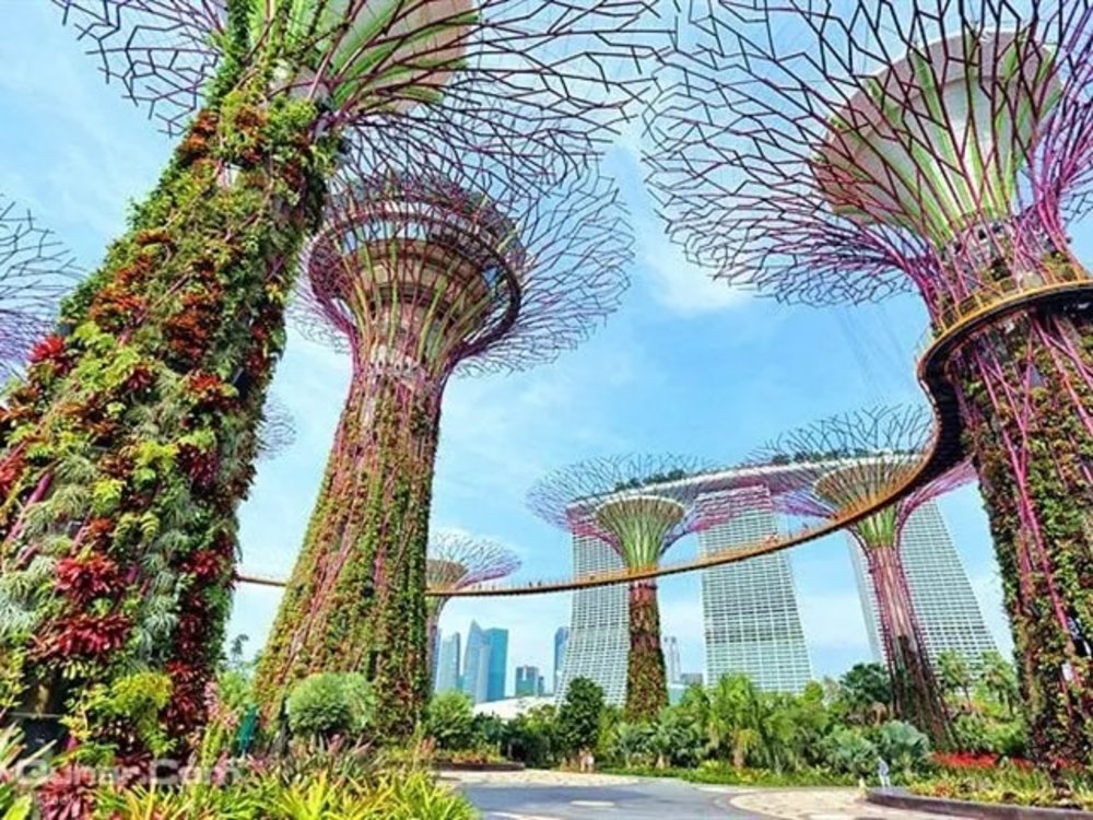 สวนพฤกษศาสตร์ของสิงคโปร์ิ