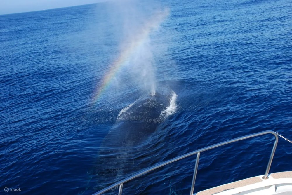 kham-pha-thien-nhien-nhat-ban