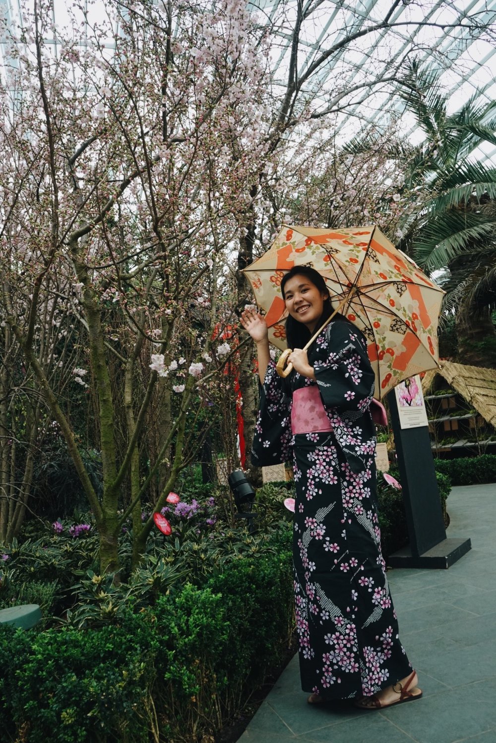 cherry blossom around the world gardens by the bay