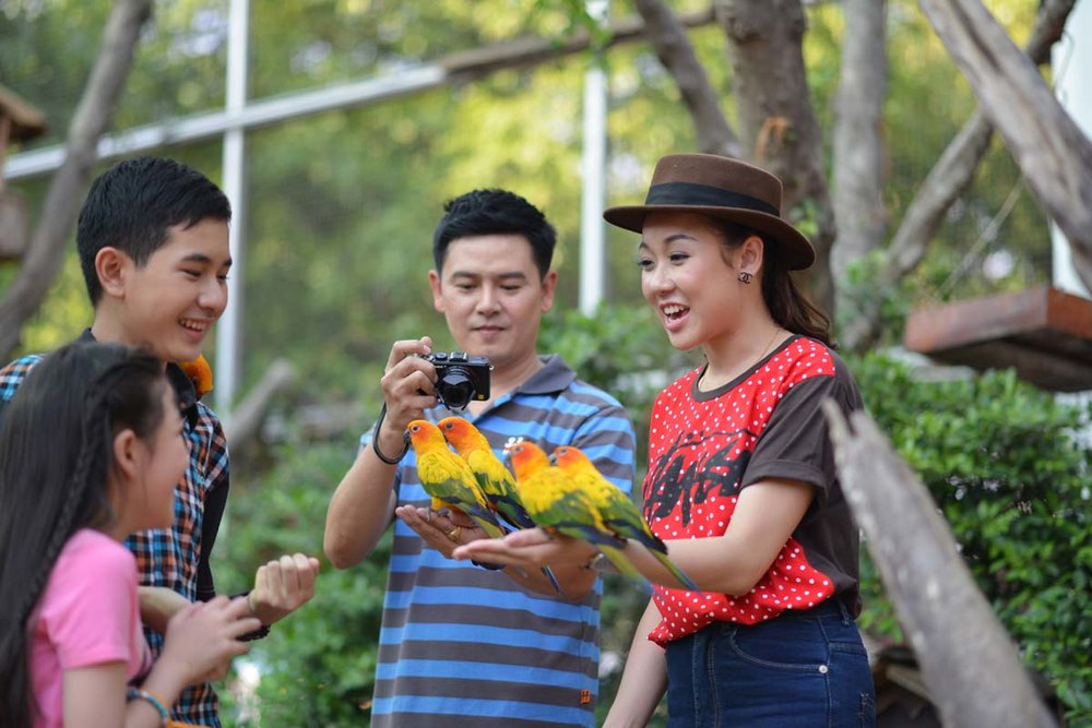 Animal Farm Dream World