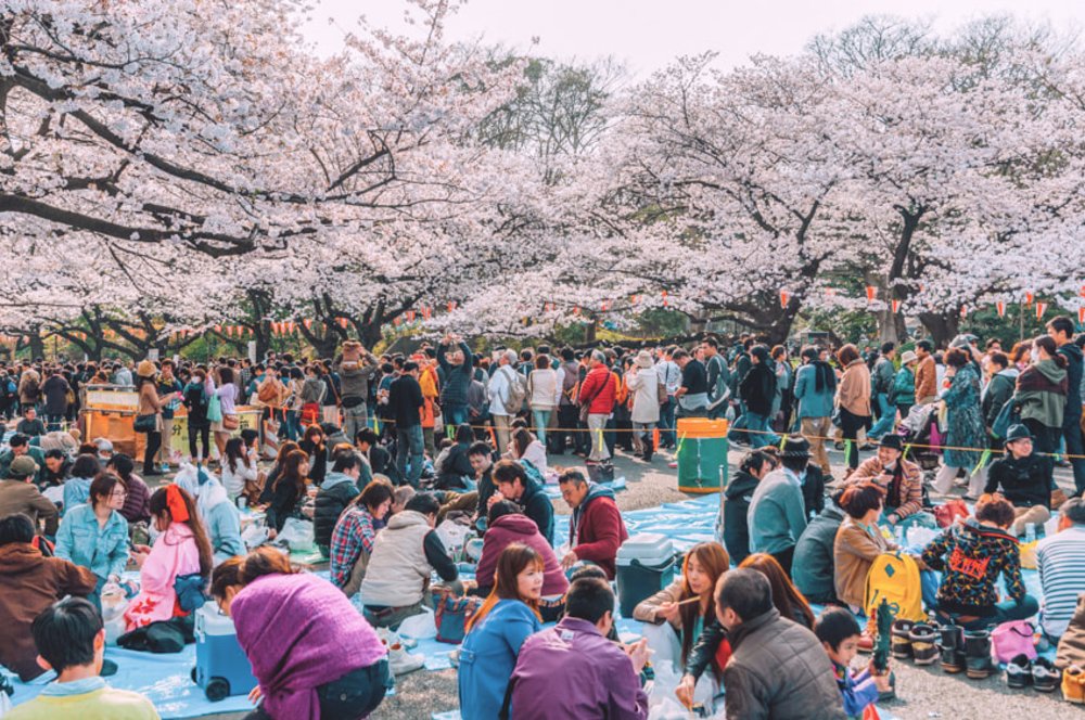 ขอบคุณรูปภาพจาก holifestivaljapan